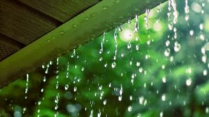 Mơ thấy mưa đánh con gì? Là điềm báo gì?