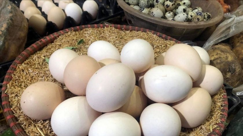 Nằm mơ thấy trứng gà đánh con gì?